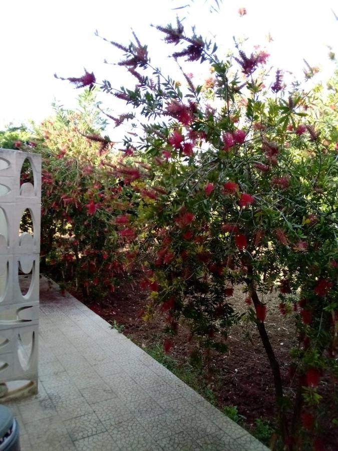 Villa Grazia Vieste Luaran gambar